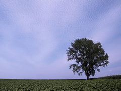 美瑛の空