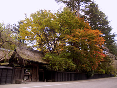 武家屋敷の秋