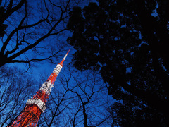 東京タワー
