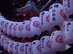 献燈