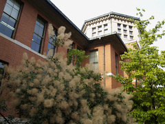 同志社女子大栄光館