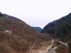 谷間のこまち