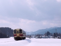 雪原を往く