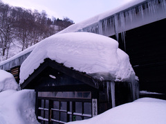 雪に埋もれる