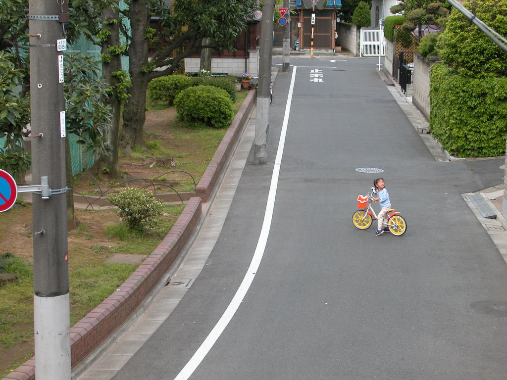 ２階からお母さんが、呼んでいる。