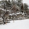 2019_0210_1137_20