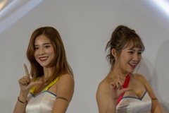 086_2018_1223_1238_59