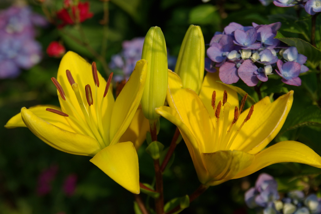2008_0628_064008