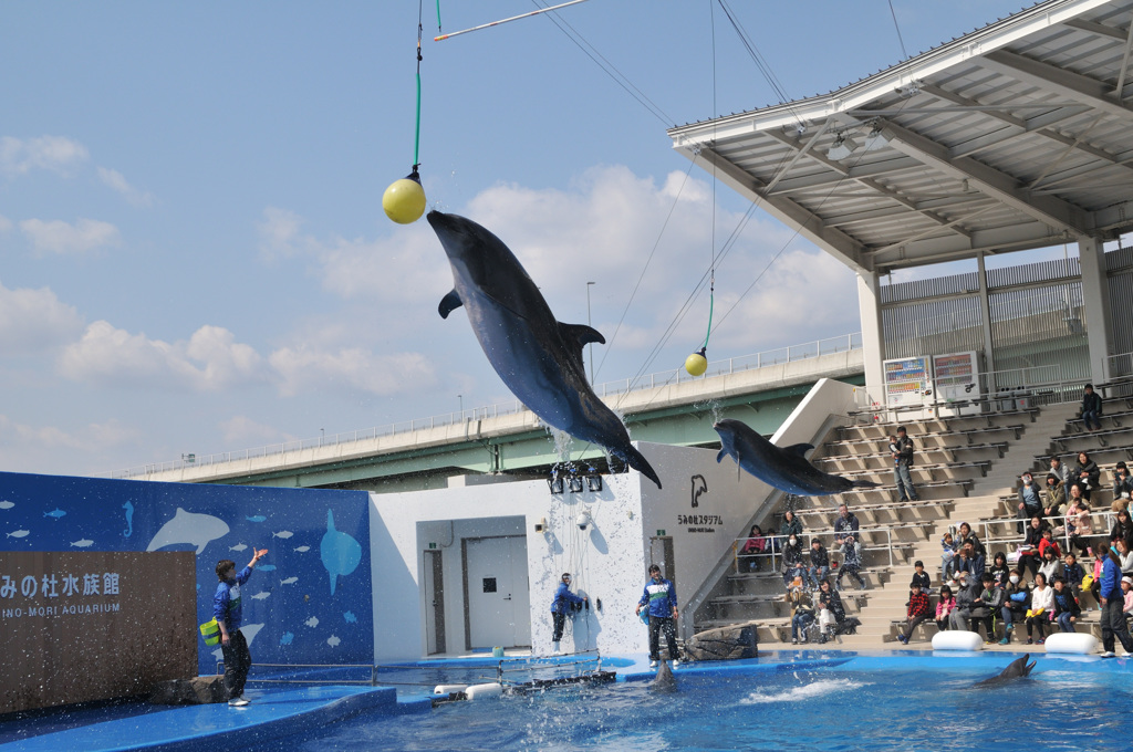 仙台うみの杜水族館11