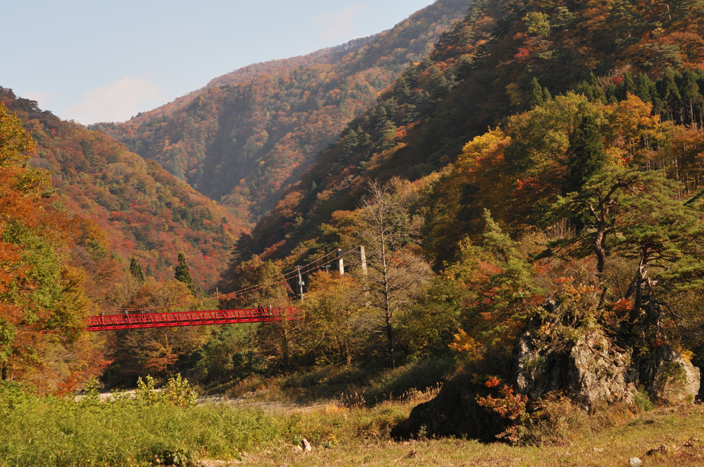 2016　紅葉