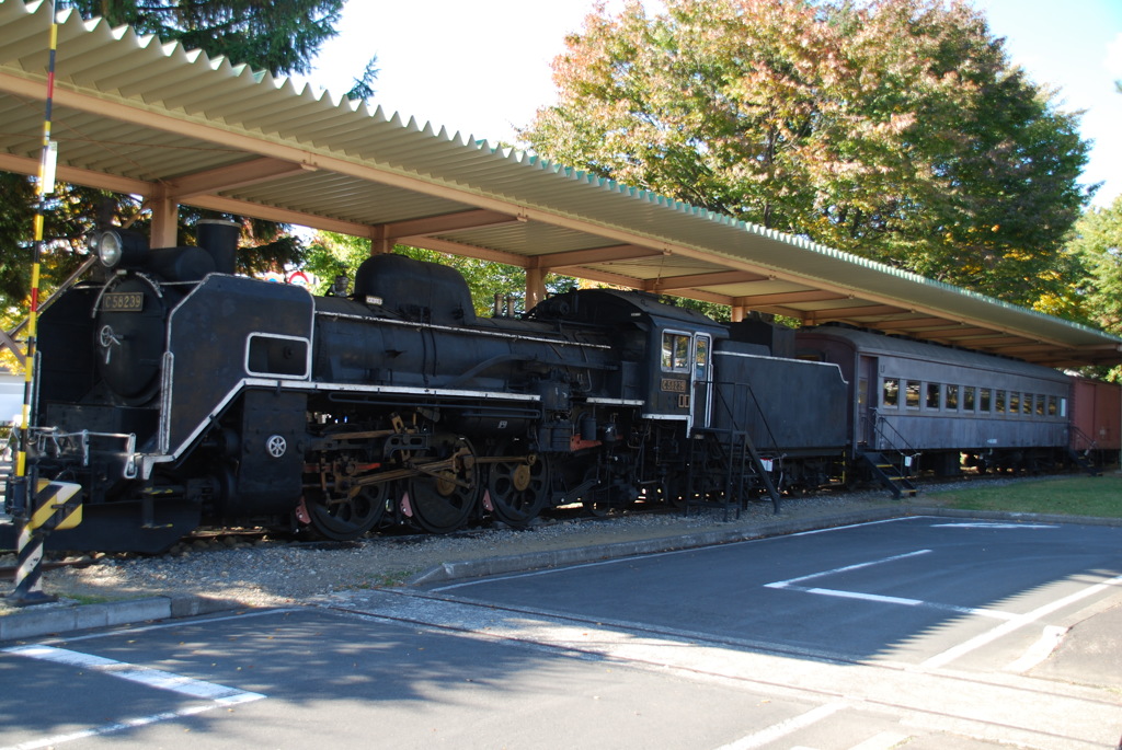 C58239とオハ352001全景