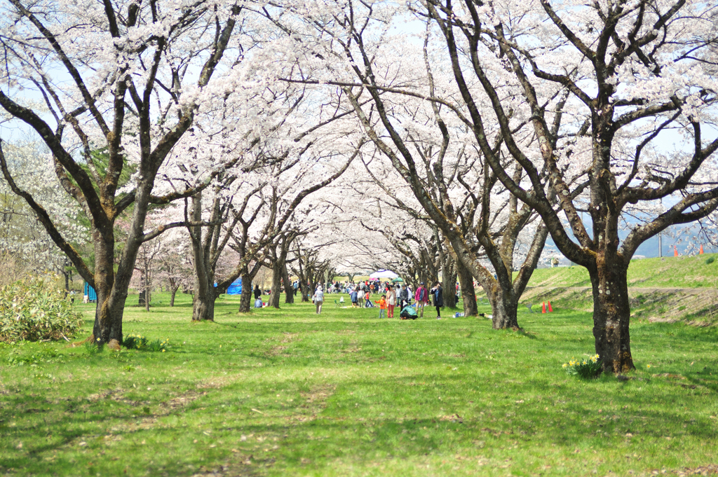 雫石川園地