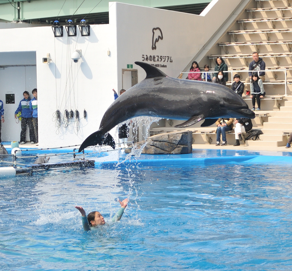 仙台うみの杜水族館10