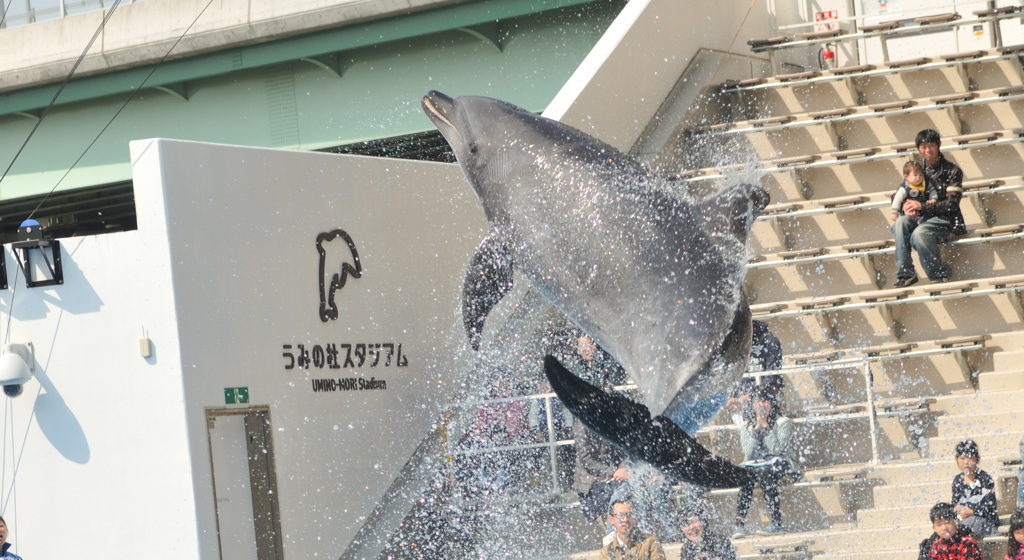 仙台うみの杜水族館12