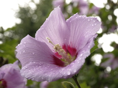 P8020061