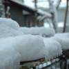 雪の朝　