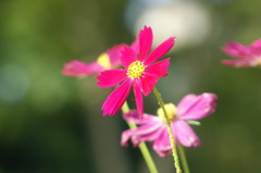 DSC03187