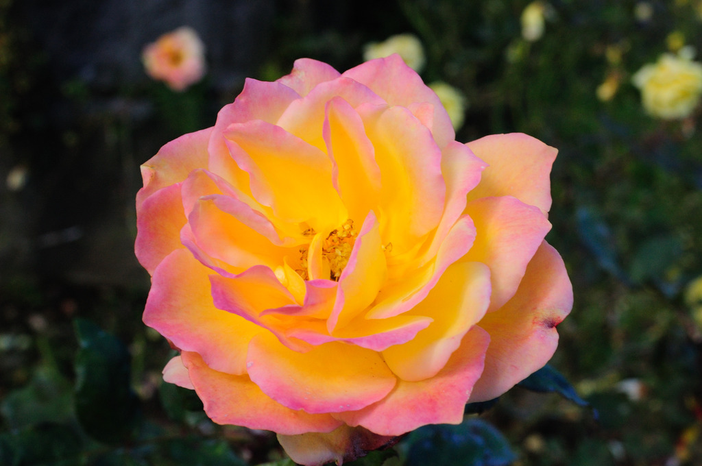 キレイすぎてコワイ