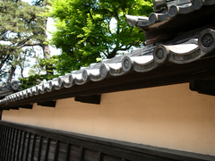 DSCN0546