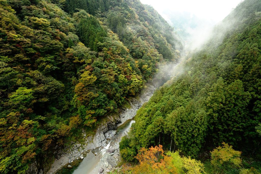 霧の谷