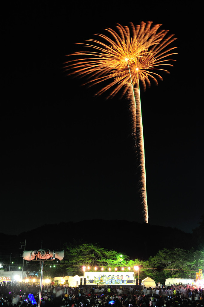 夜空にヒマワリ
