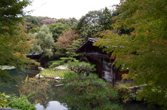 東山植物園：Cottage
