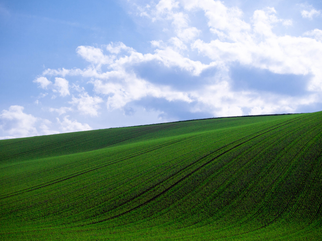 Velvet Hills