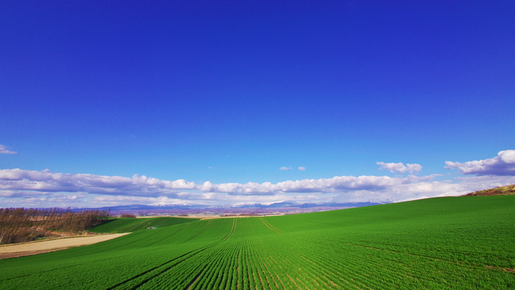 Blue & Green 2011.05 《HD版》