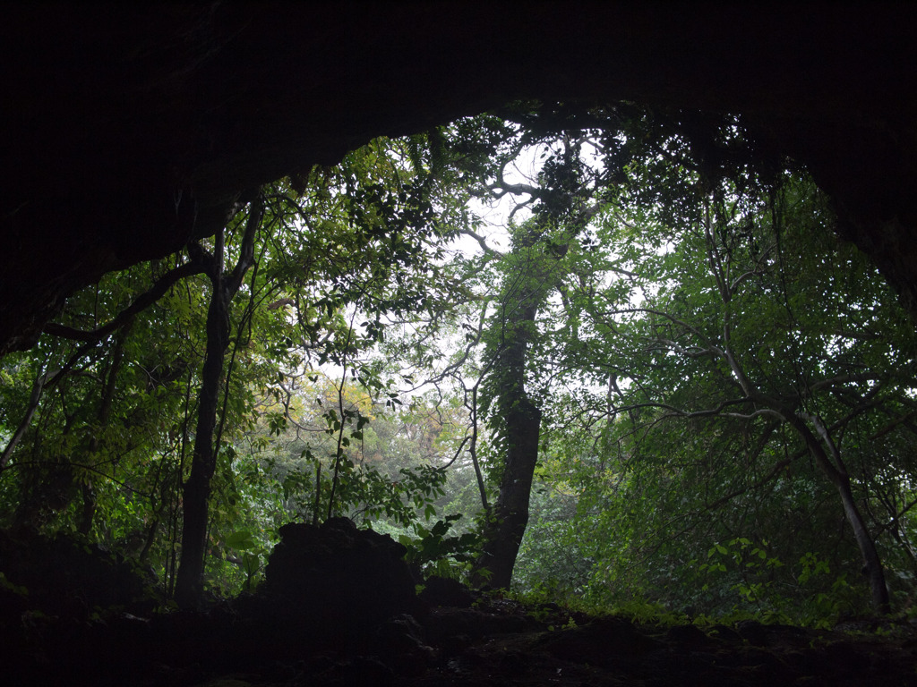 An unexplored...