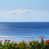 夏海だなぁ～・・・(^O^)
