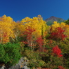 美瑛岳-彩り-2013