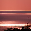 海光