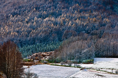 薄化粧の山里