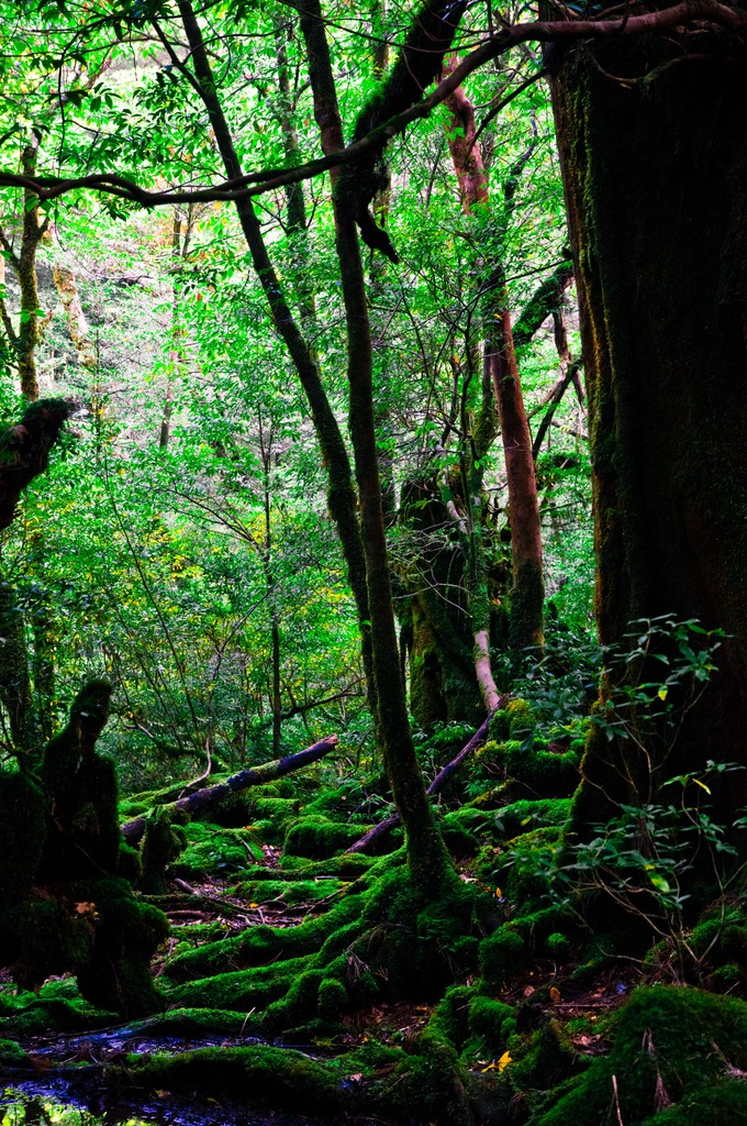 Green World
