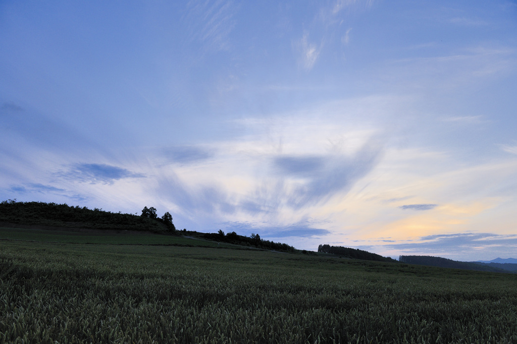 美瑛夕景ｰ2009夏