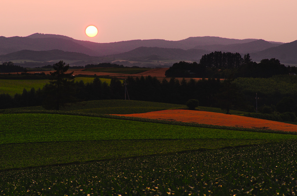 育む大地-2011夏の夕べ