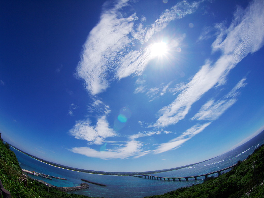 夏の陽よ・・・
