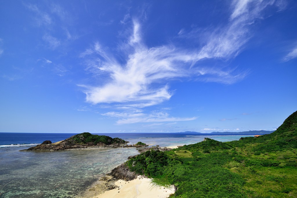 夏空を泳ぐ