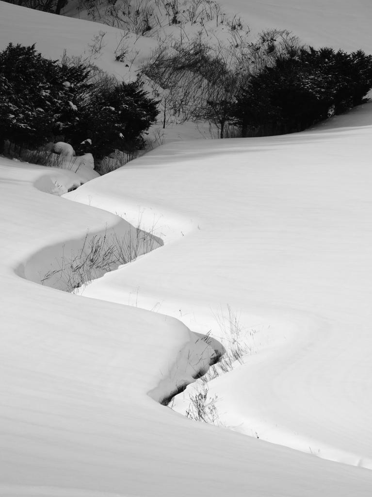 山里の冬