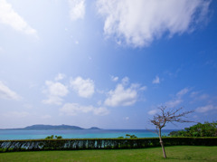 輝け！恋しい太陽よ！