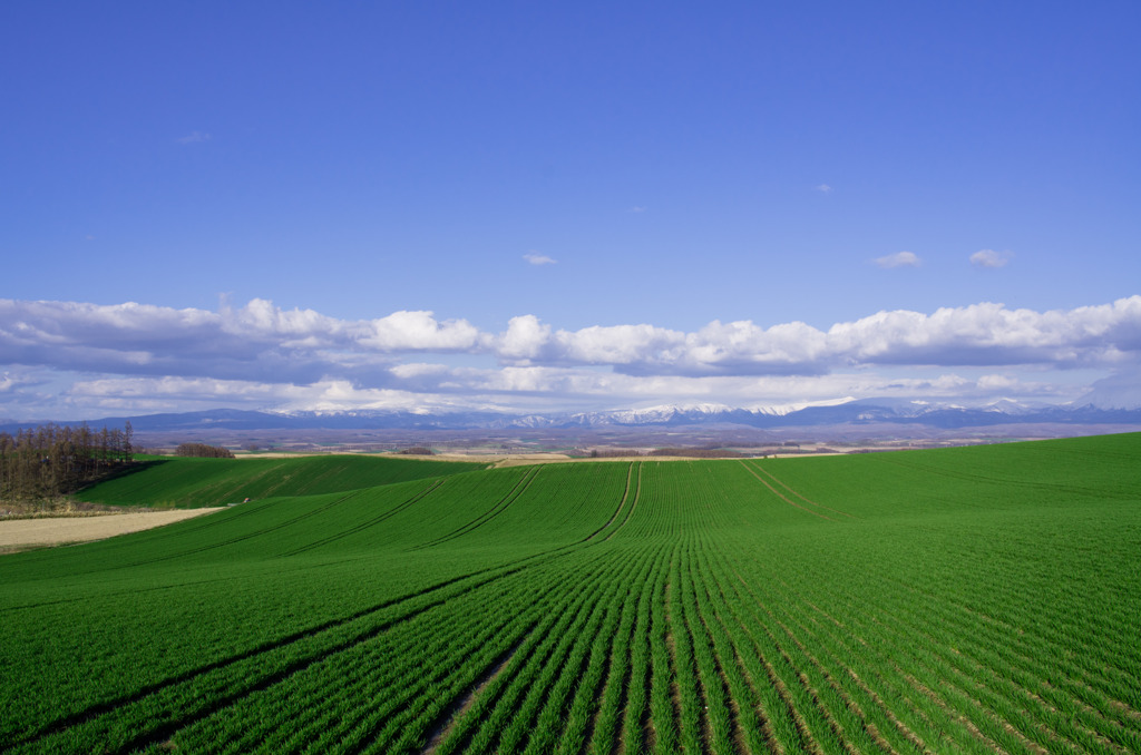 Blue & Green  2011.05