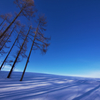 Shadow on the Snow