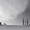 優しい冬(Monochrome)