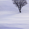 Lonely Hill