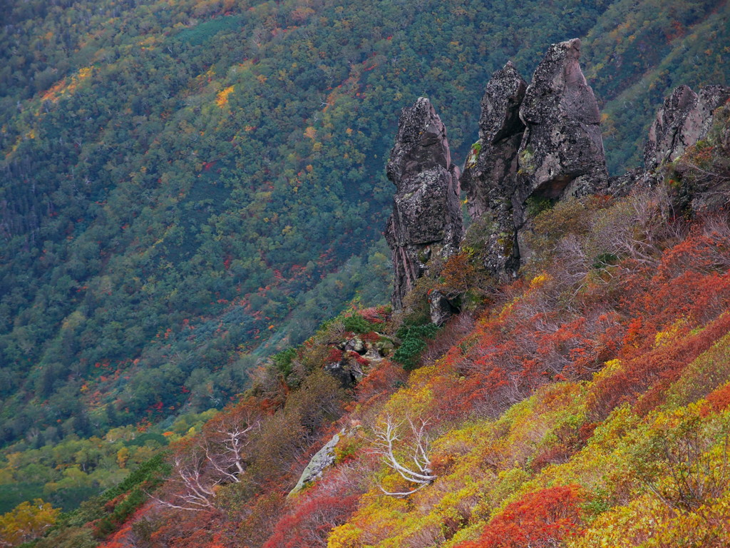 染まる山肌