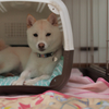 ナナです・・・6ヶ月半です。