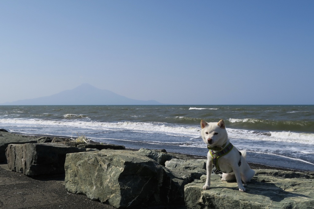 Silhouette of ″Rishiri Island″ with ″ナナ″