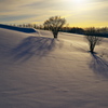 見送る冬陽(ふゆび)　《D800E版》