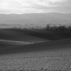 郷愁の丘－美瑛 2012晩秋 《D800E版-Monochrome》