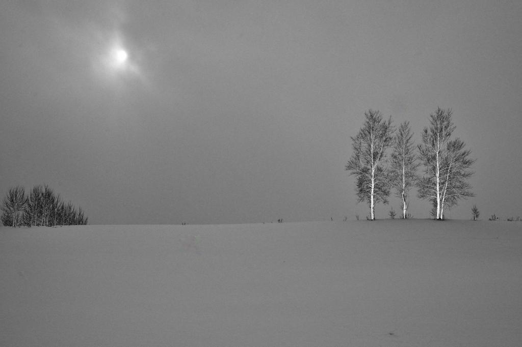 慕光ｰ2010